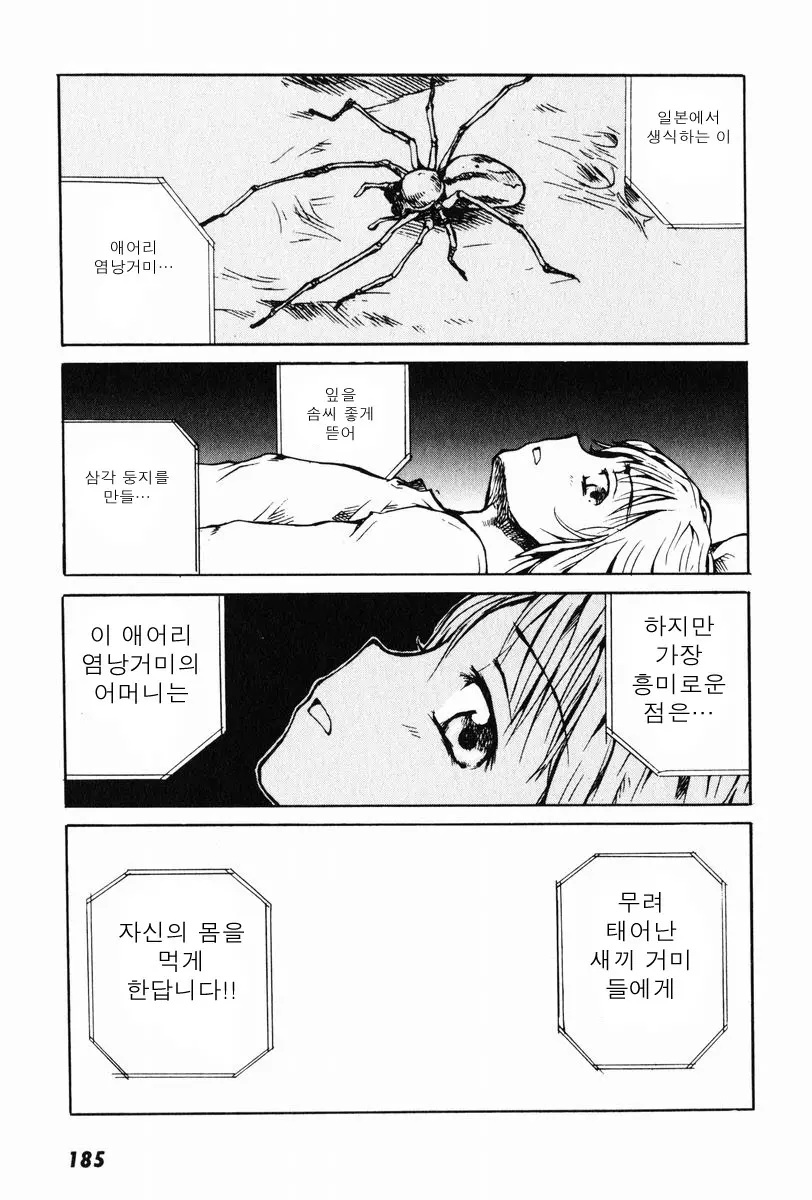 웹툰 이미지 22