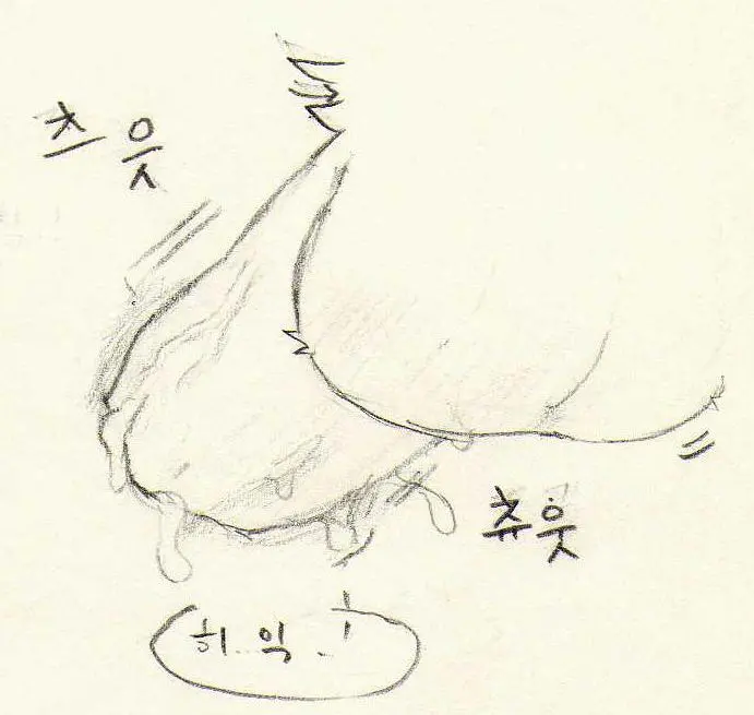 웹툰 이미지 203
