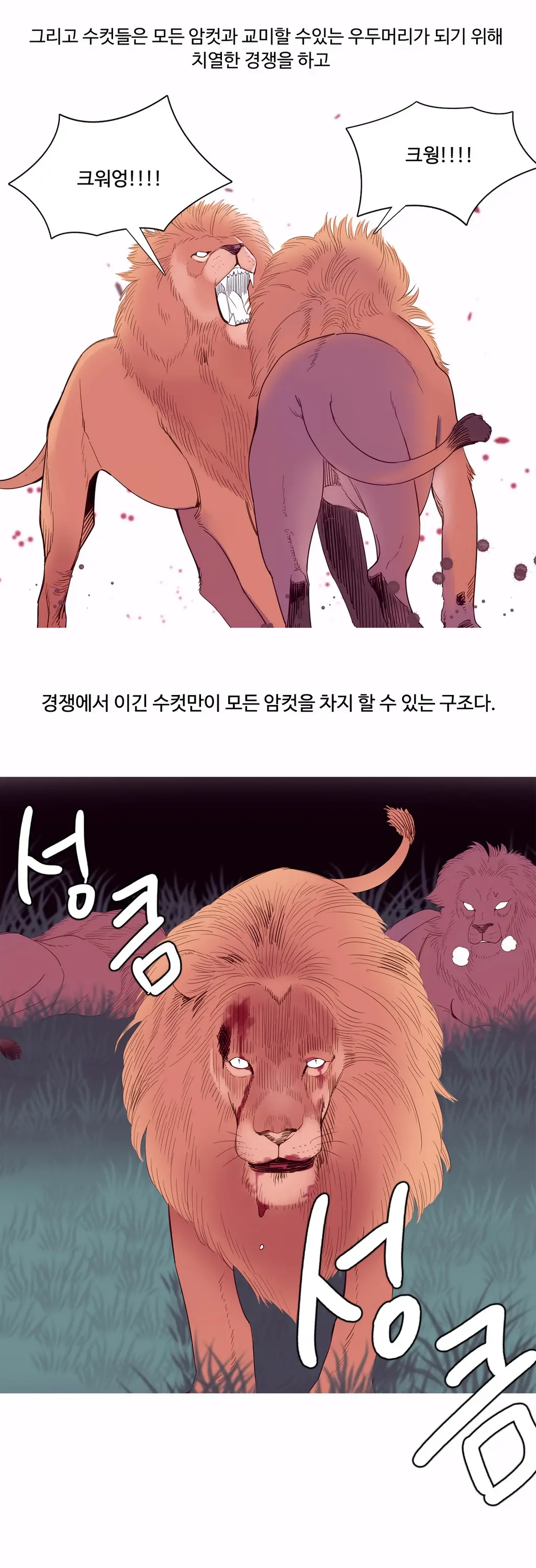 웹툰 이미지 186