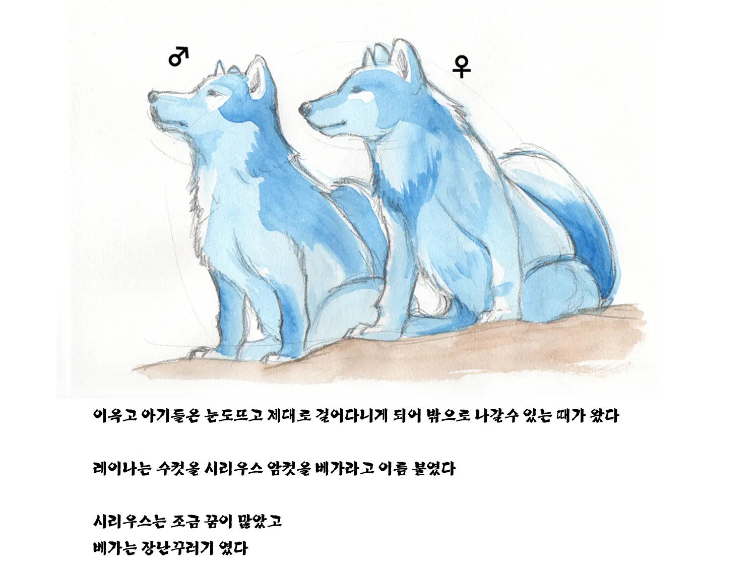 웹툰 이미지 62