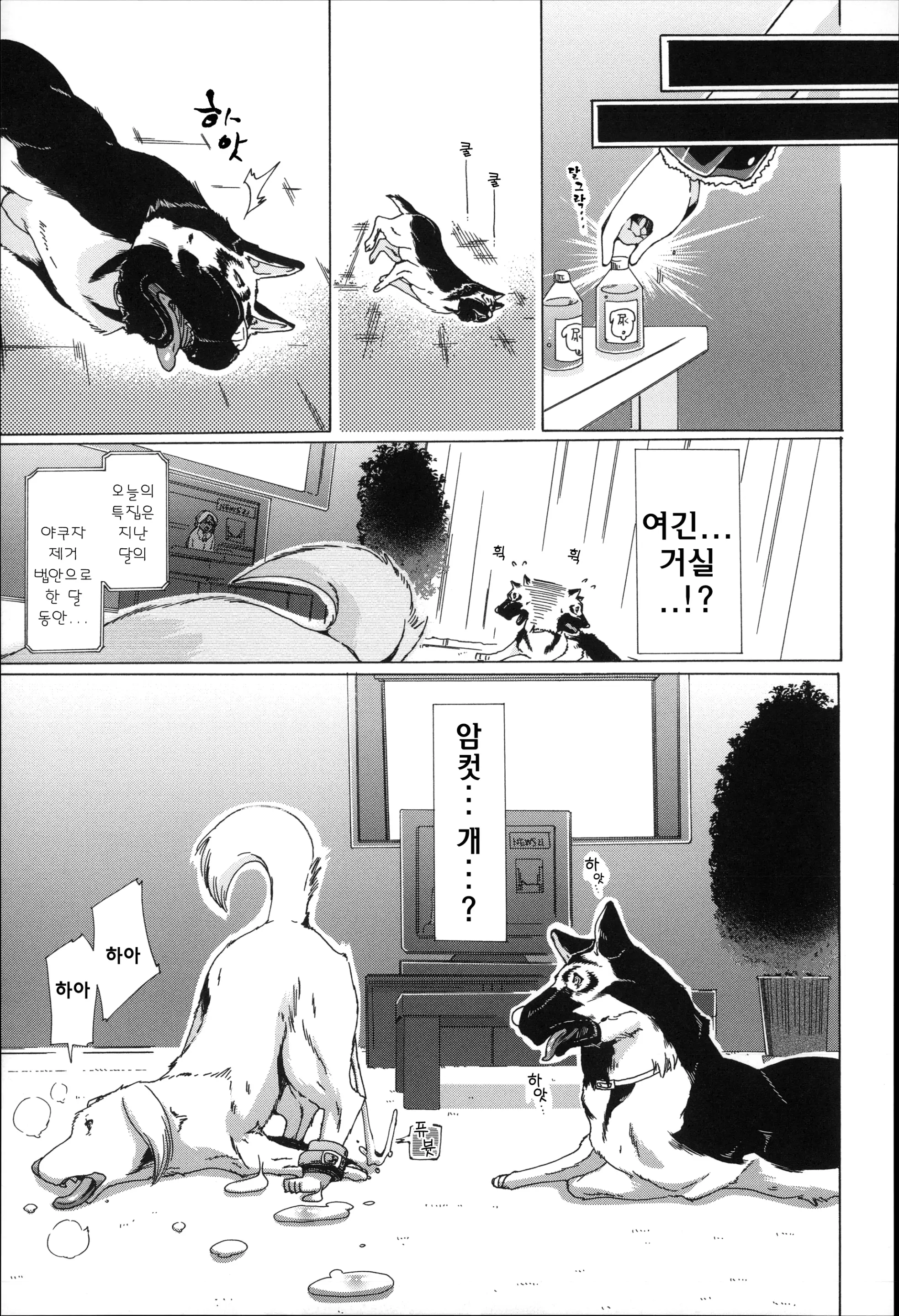 웹툰 이미지 116