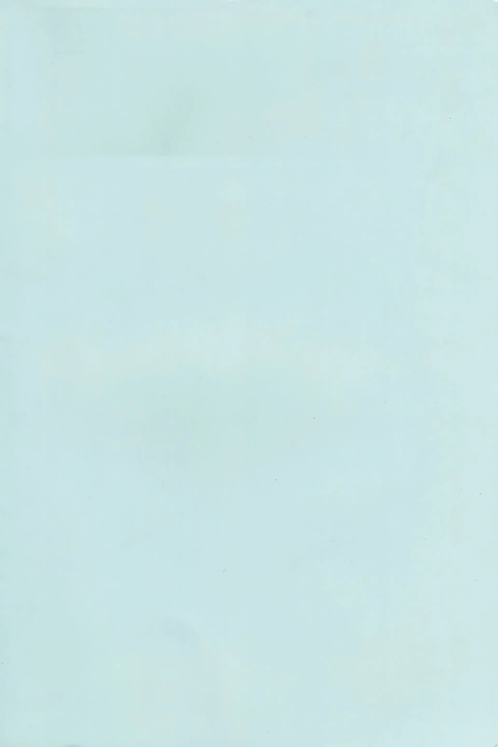 웹툰 이미지 37