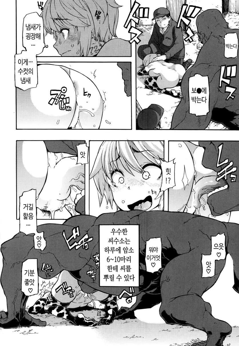 웹툰 이미지 48