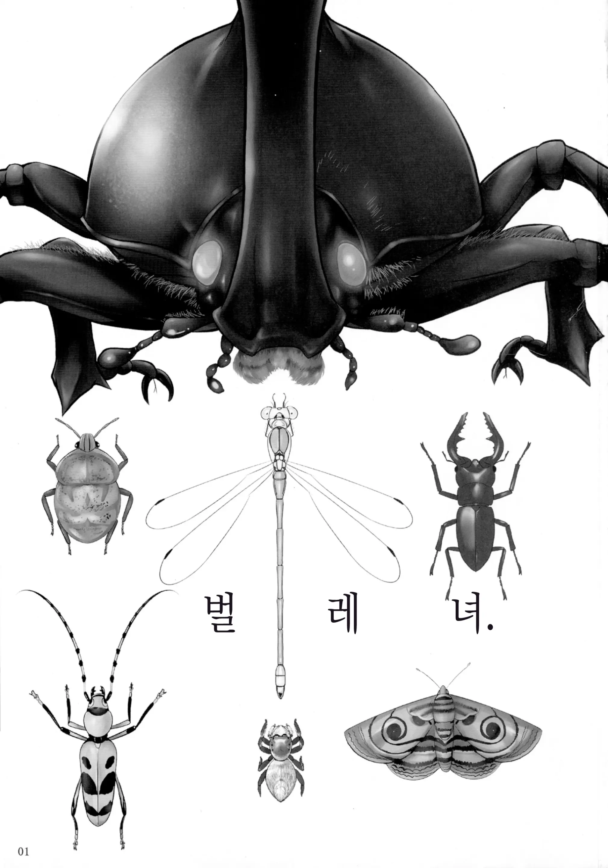 웹툰 이미지 2