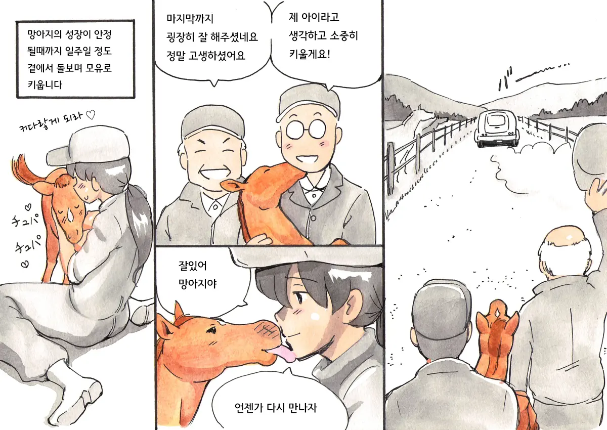 웹툰 이미지 44