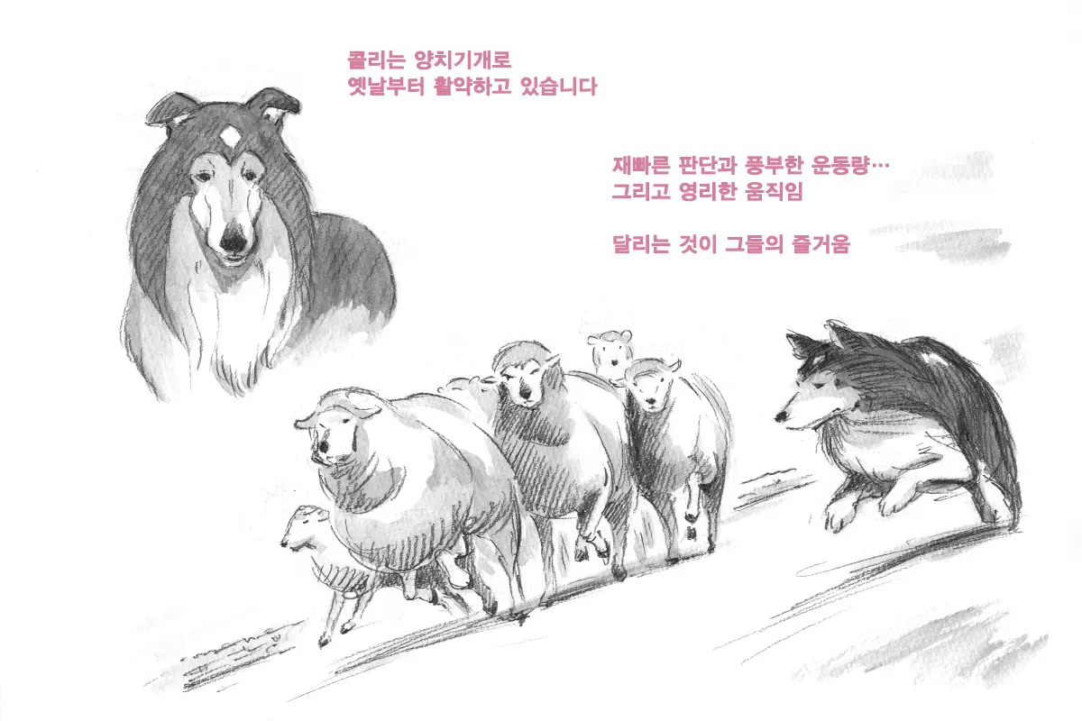 웹툰 이미지 35