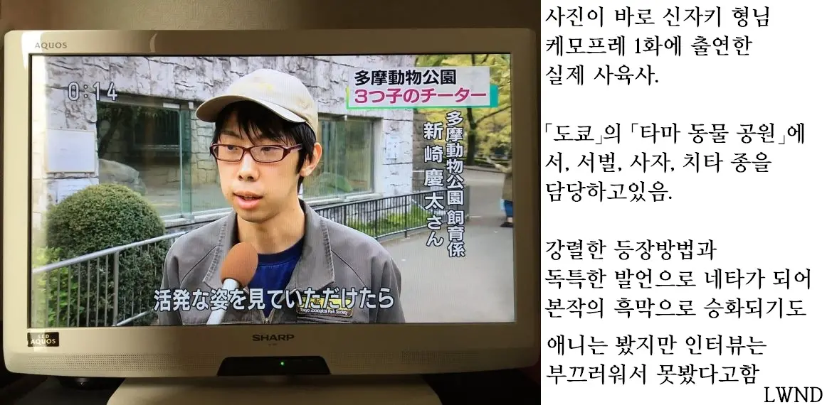 웹툰 이미지 18