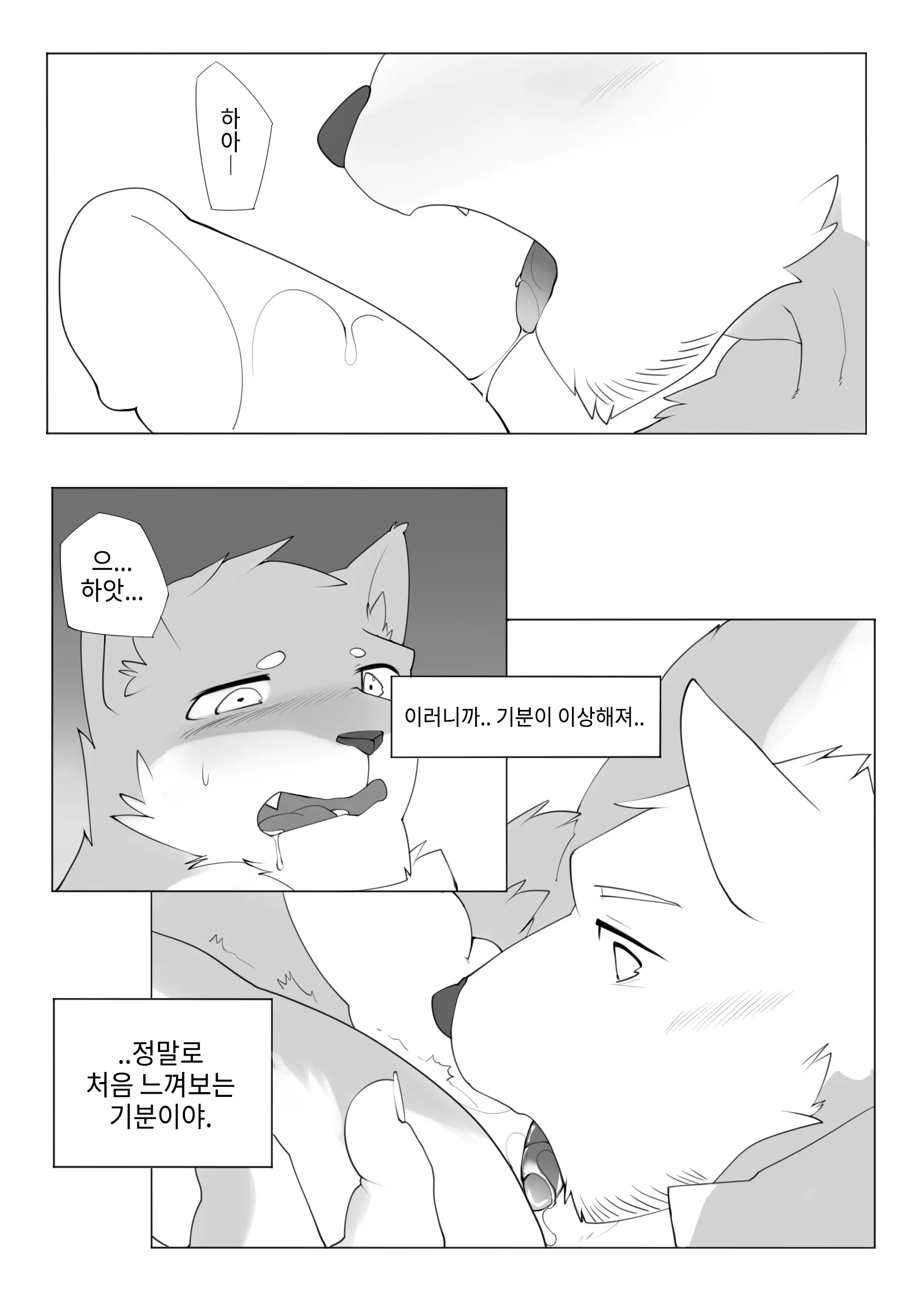 웹툰 이미지 21