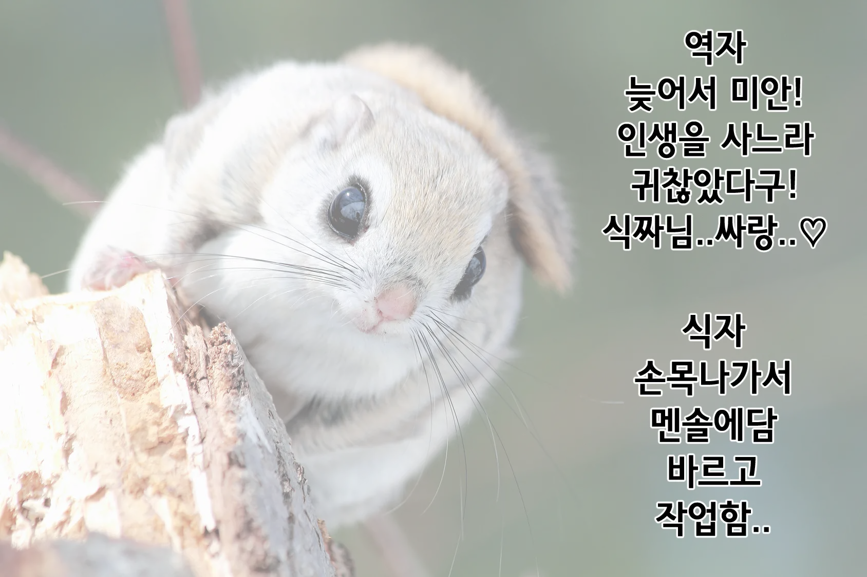 웹툰 이미지 16