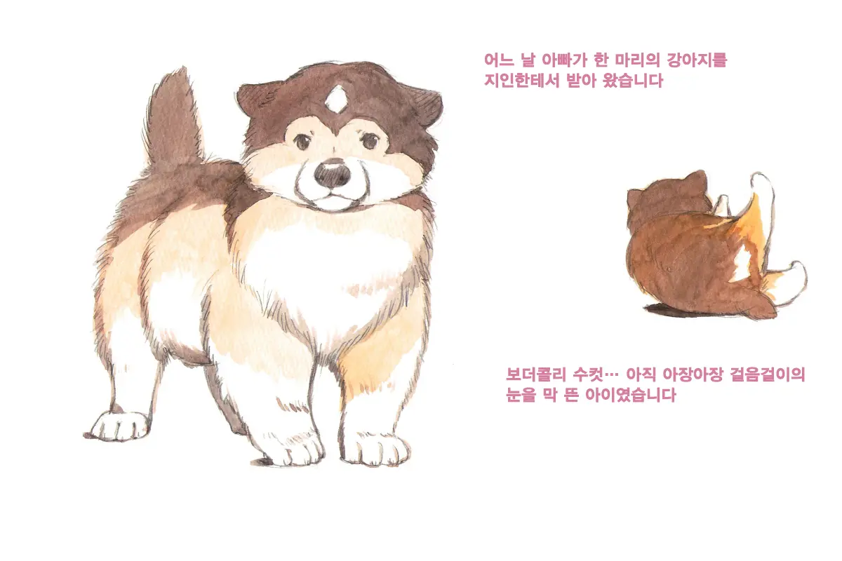 웹툰 이미지 59