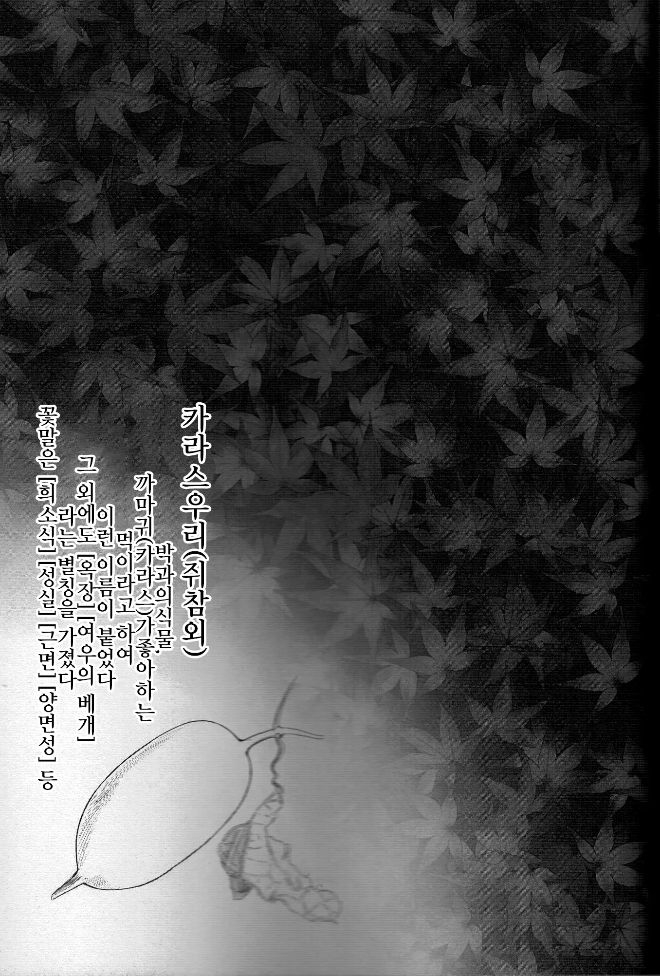 웹툰 이미지 31