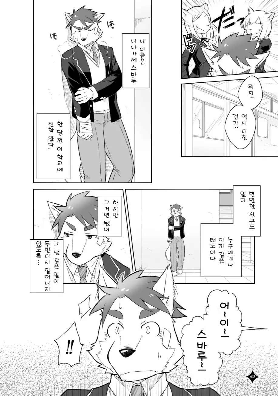 웹툰 이미지 40