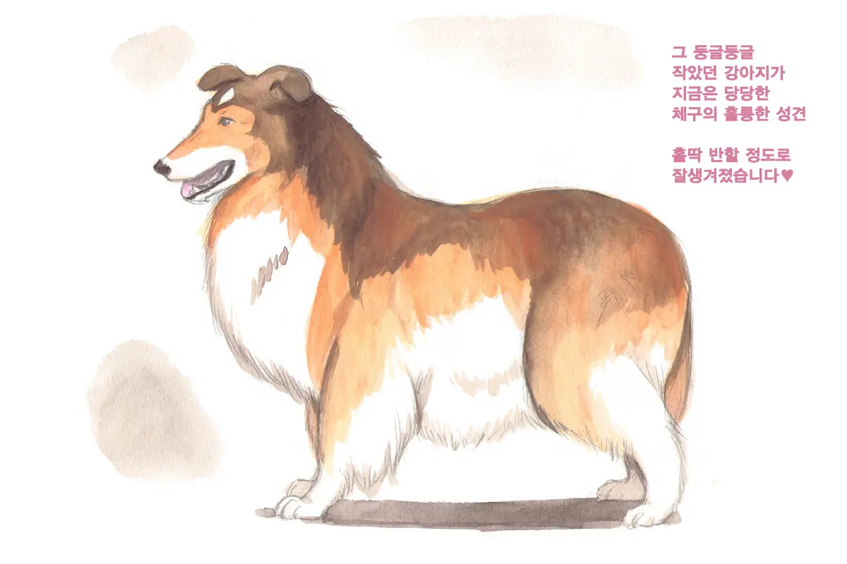 웹툰 이미지 69