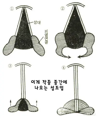 웹툰 이미지 61