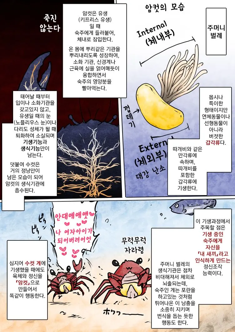 웹툰 이미지 2