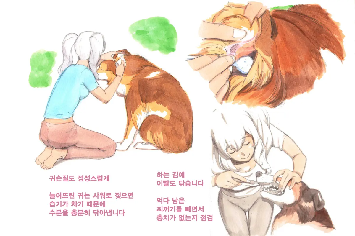 웹툰 이미지 56