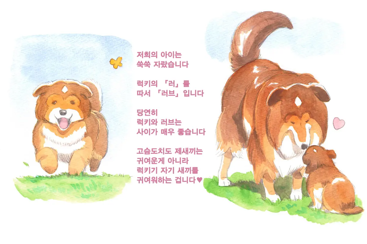 웹툰 이미지 116