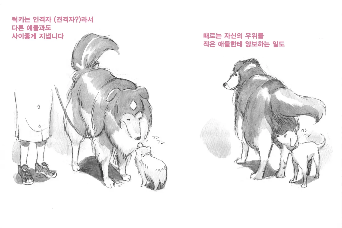 웹툰 이미지 30