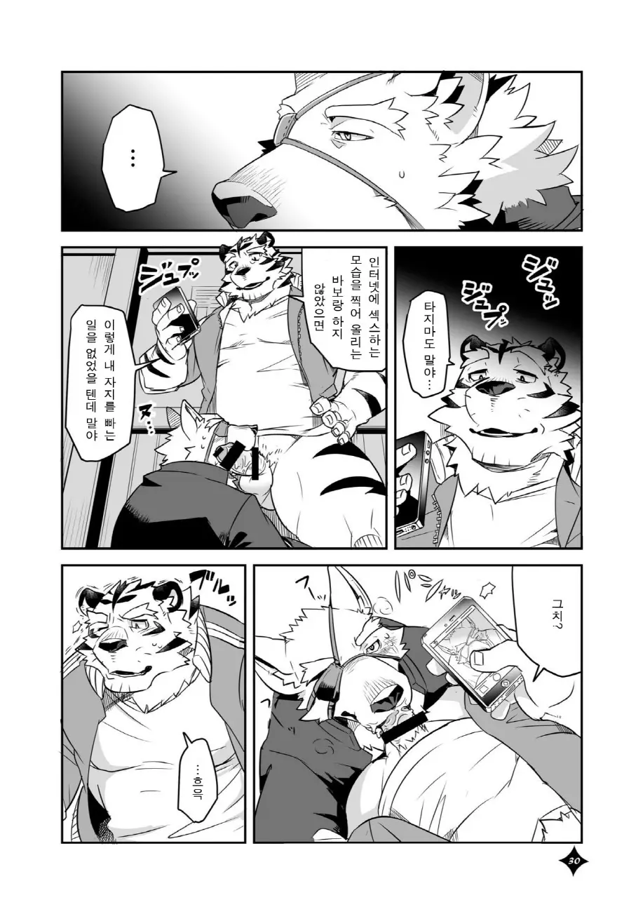 웹툰 이미지 30