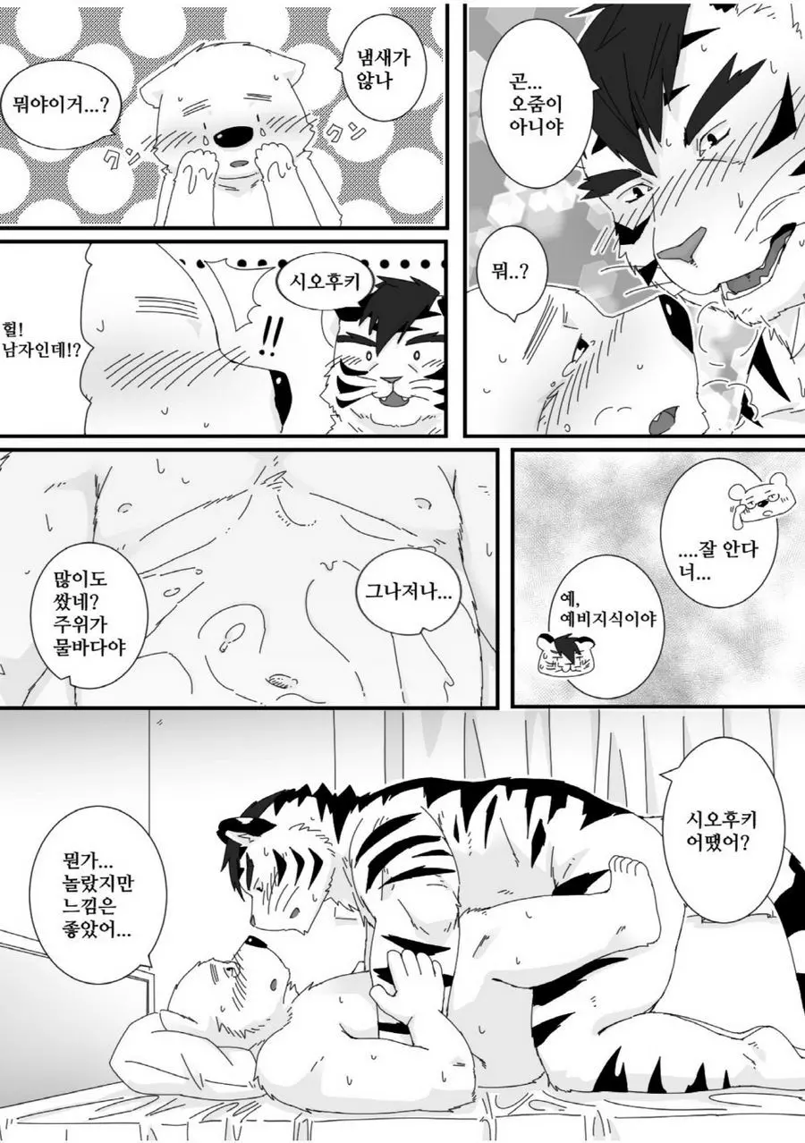 웹툰 이미지 21