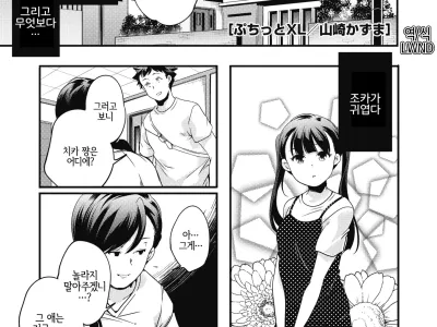Petit XL | 쁘띠 XL