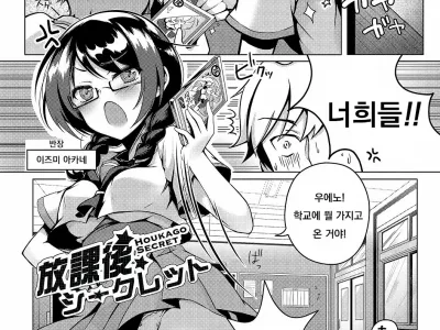 HOUKAGO SECRET
