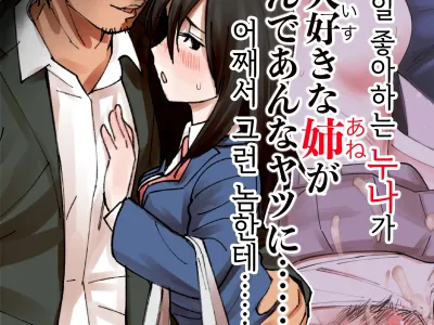 Boku no Daisuki na Ane ga Nande Anna Yatsu ni...... | 내가 제일 좋아하는 누나가 어째서 그런 놈한테……