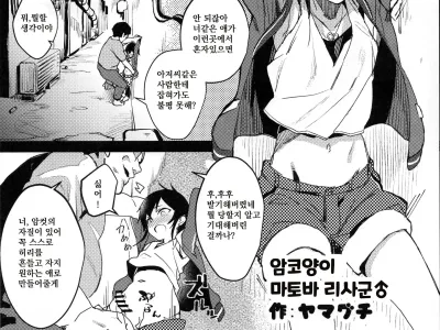 Mesuneko Matoba Risa-kun♂ | 암코양이 마토바 리사군♂