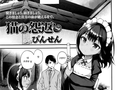 Neko no Ongaeshi