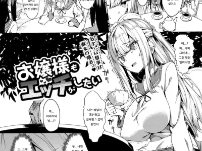 Ojou-sama mo Ecchi ga Shitai | 아가씨도 엣찌가 하고 싶어