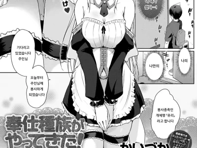 Houshi Shuzoku ga Yattekita! ~Hajimete no Gohoushi~