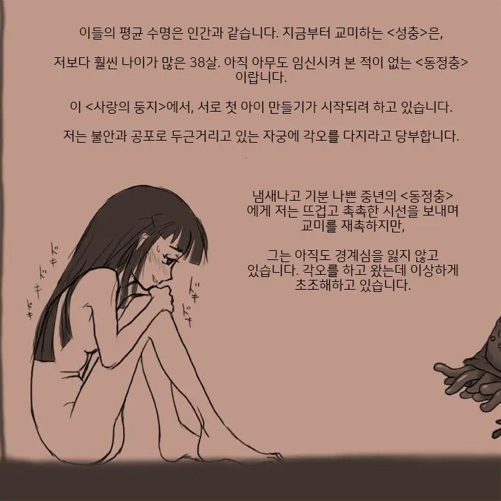 웹툰 이미지 5