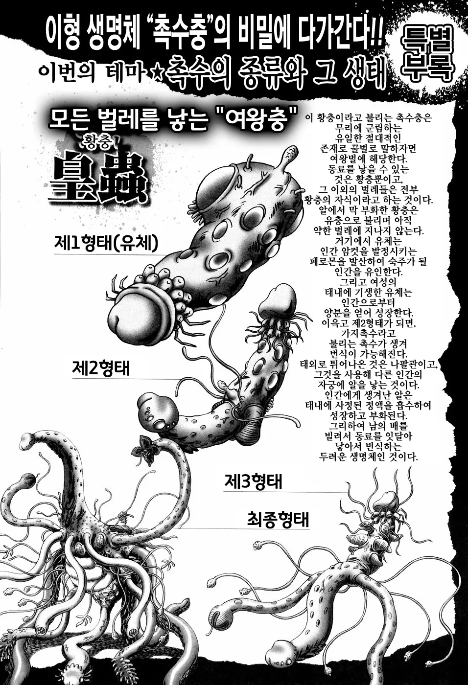 웹툰 이미지 206