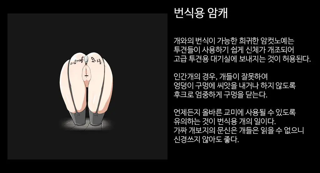 웹툰 이미지 21