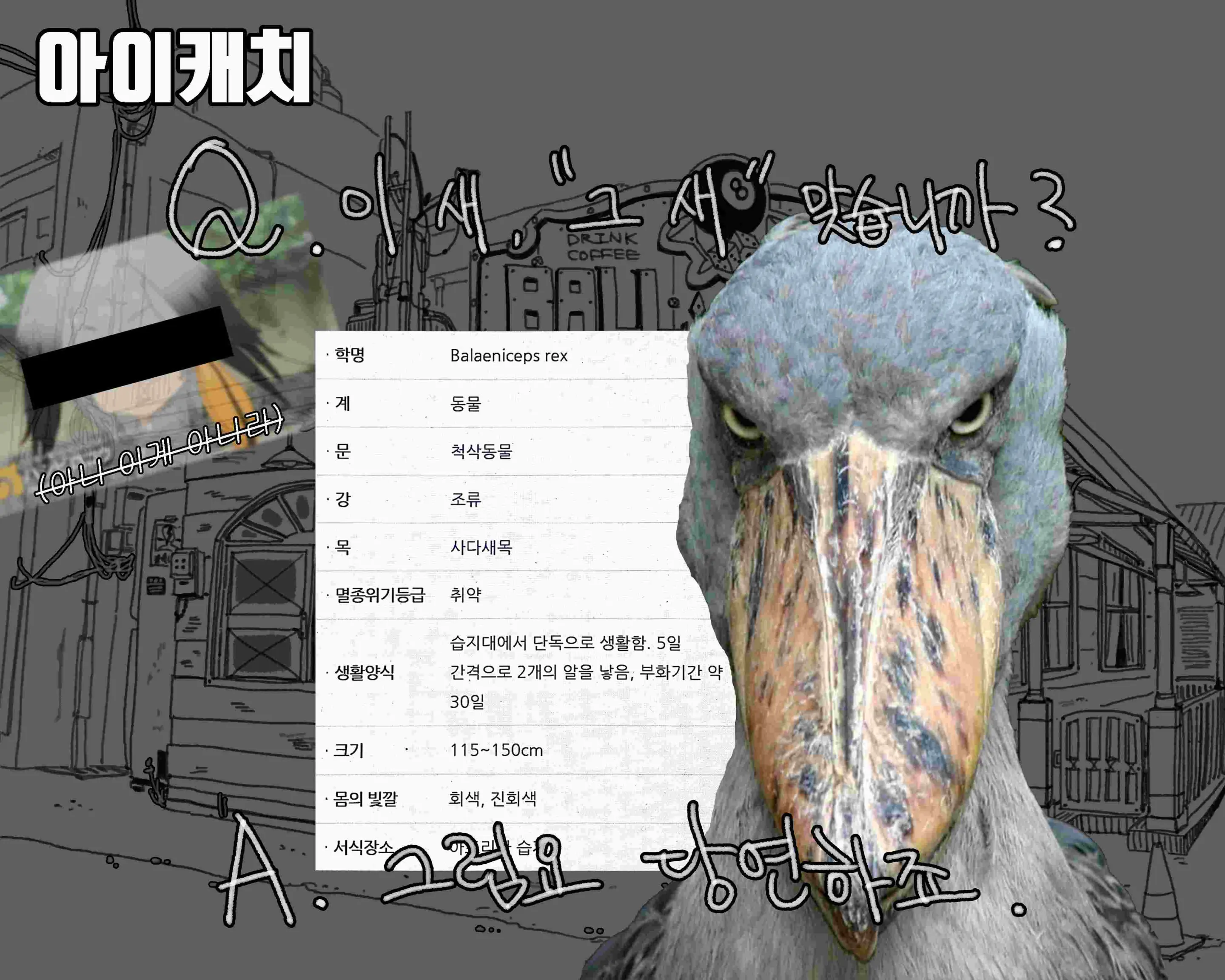 웹툰 이미지 131