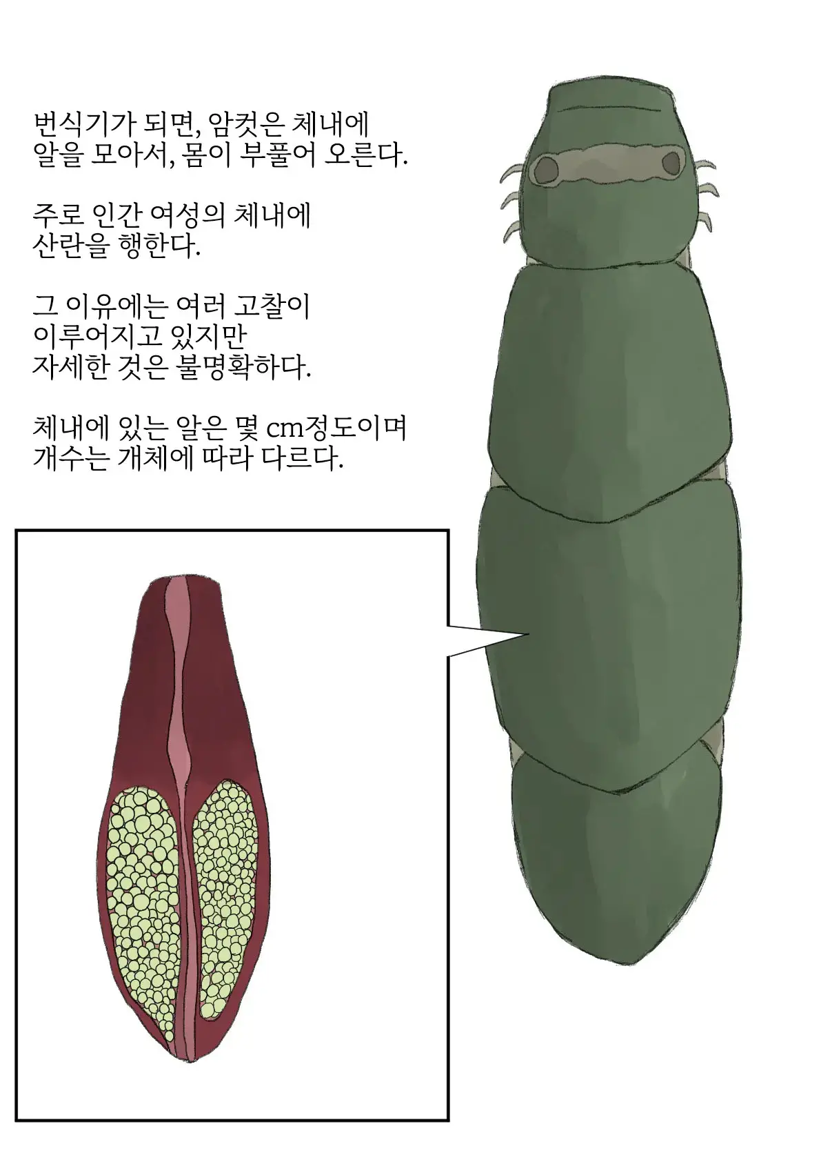 웹툰 이미지 7