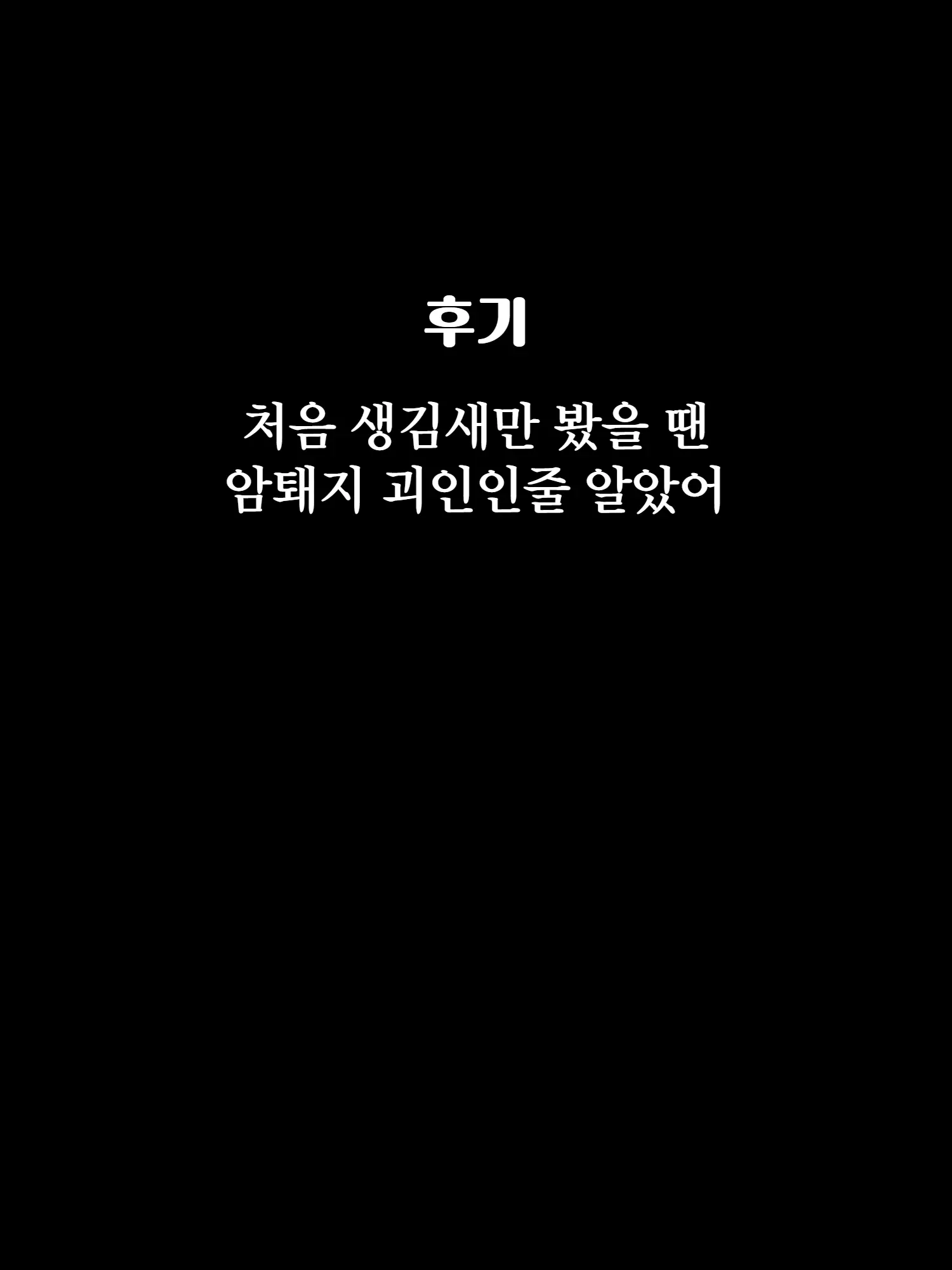 웹툰 이미지 39