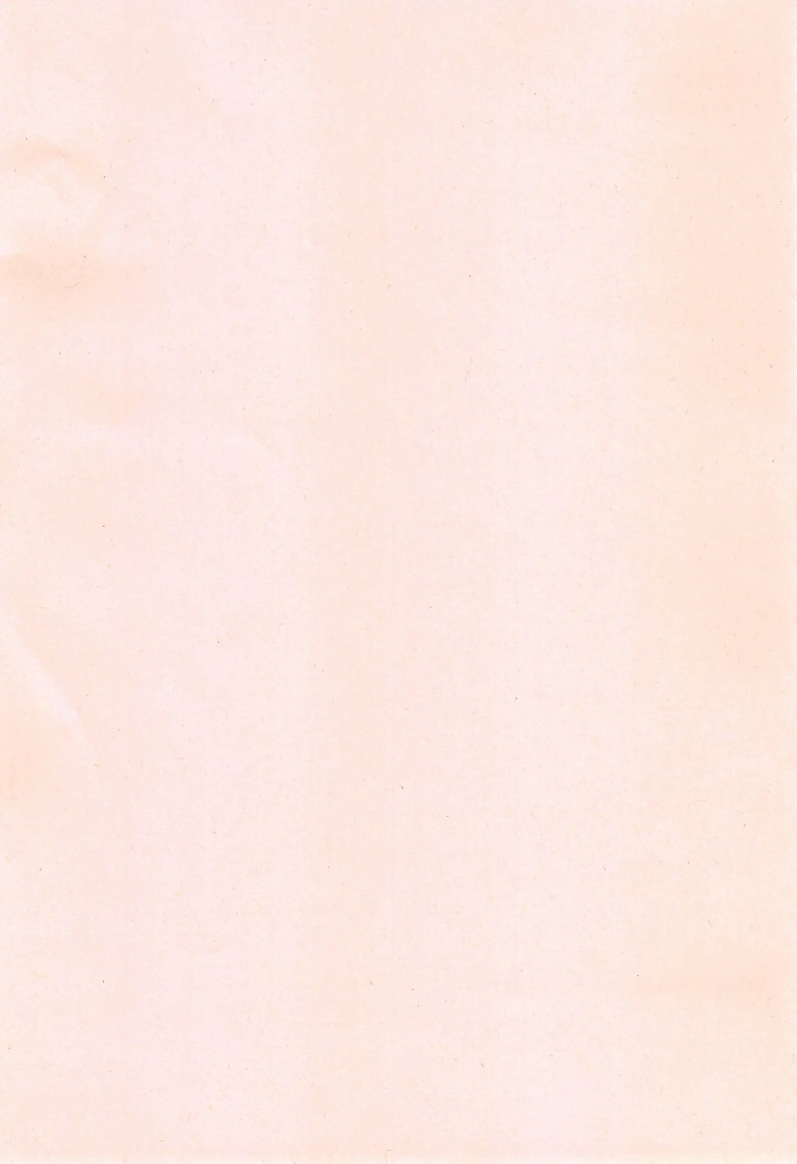 웹툰 이미지 215