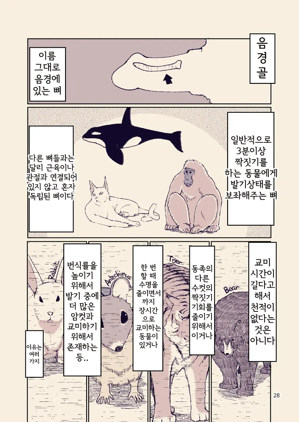 웹툰 이미지 29