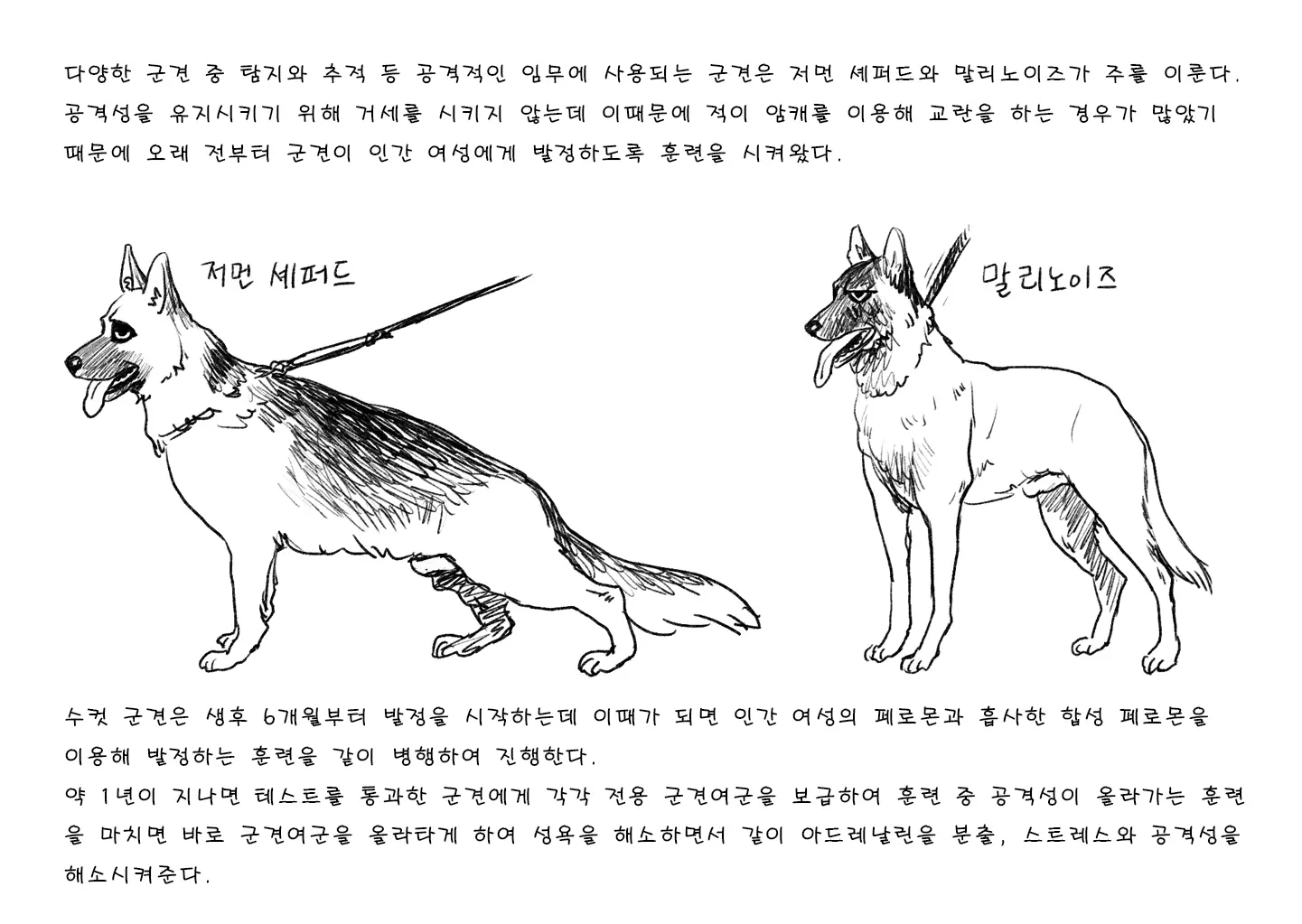 웹툰 이미지 350