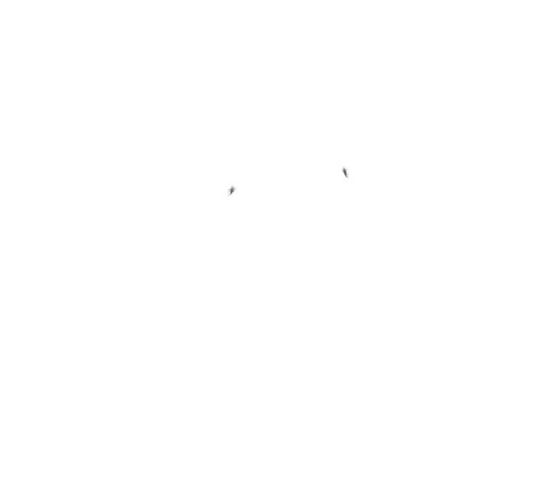웹툰 이미지 211