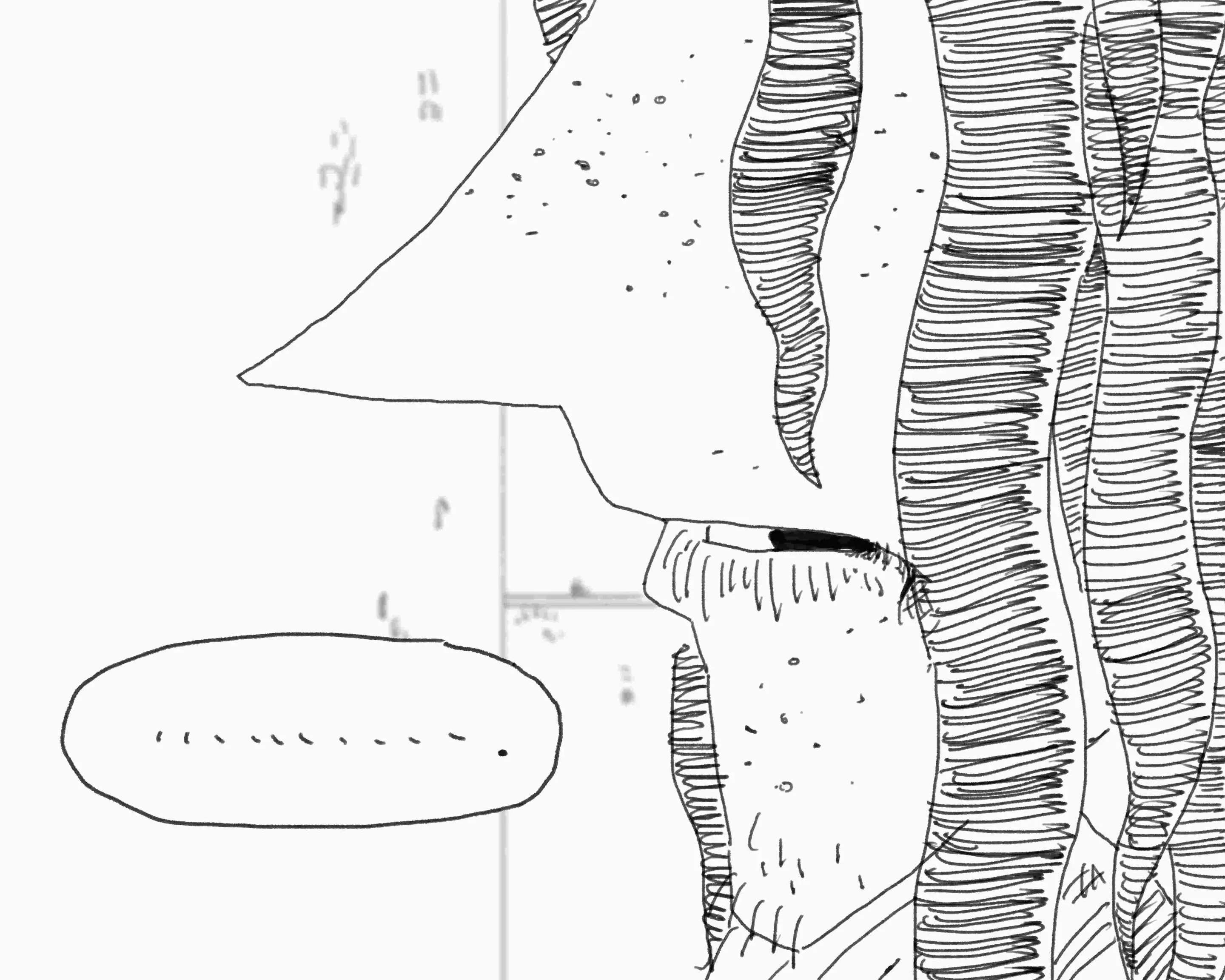 웹툰 이미지 246