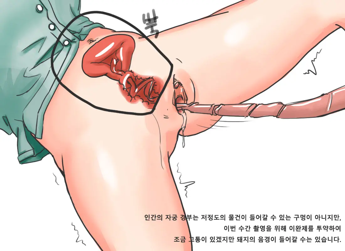 웹툰 이미지 8