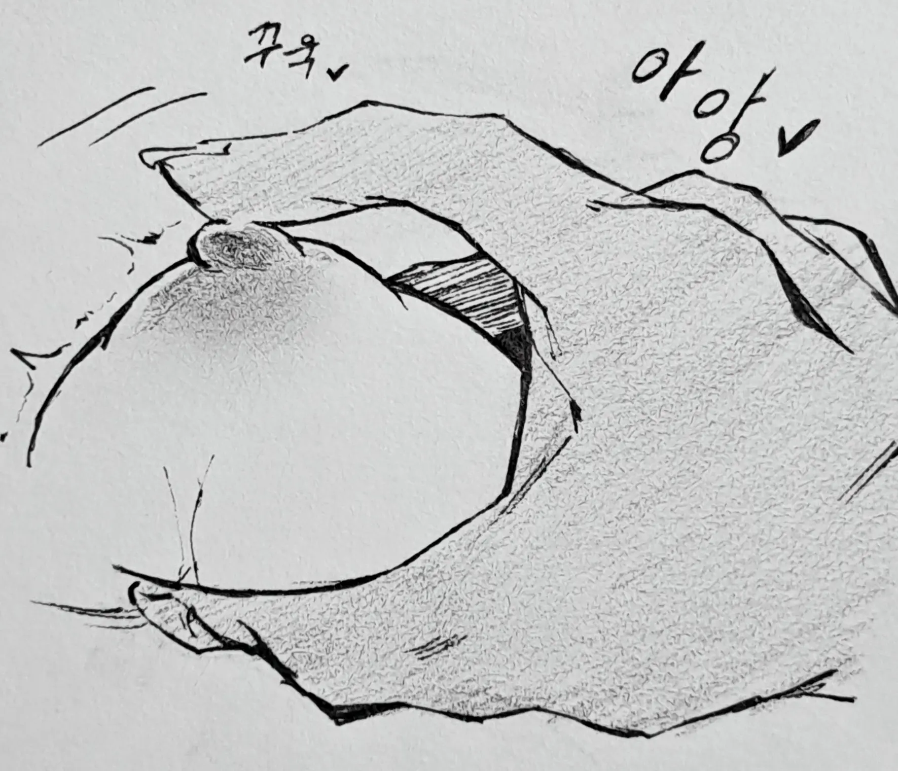 웹툰 이미지 13