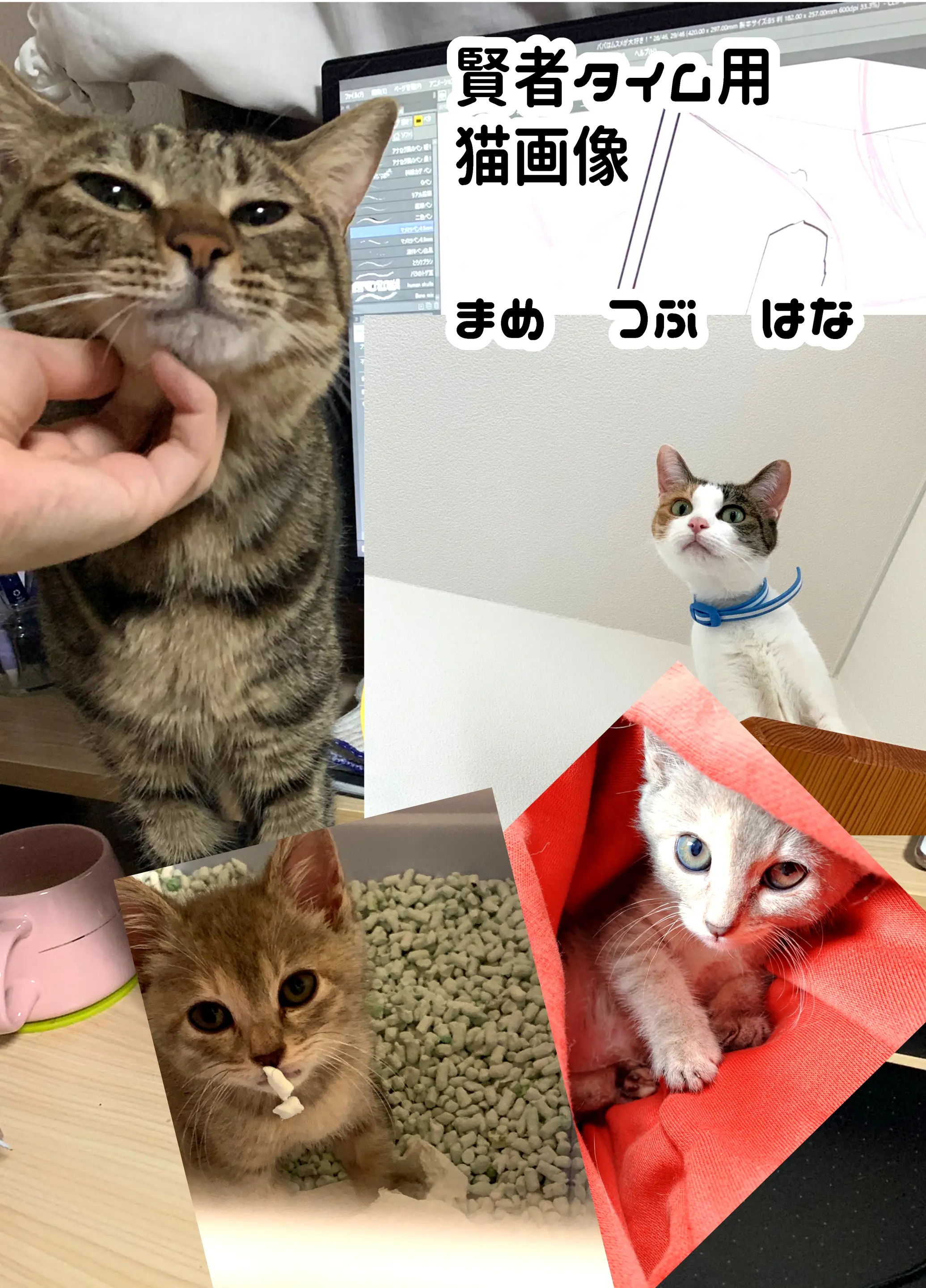 웹툰 이미지 44