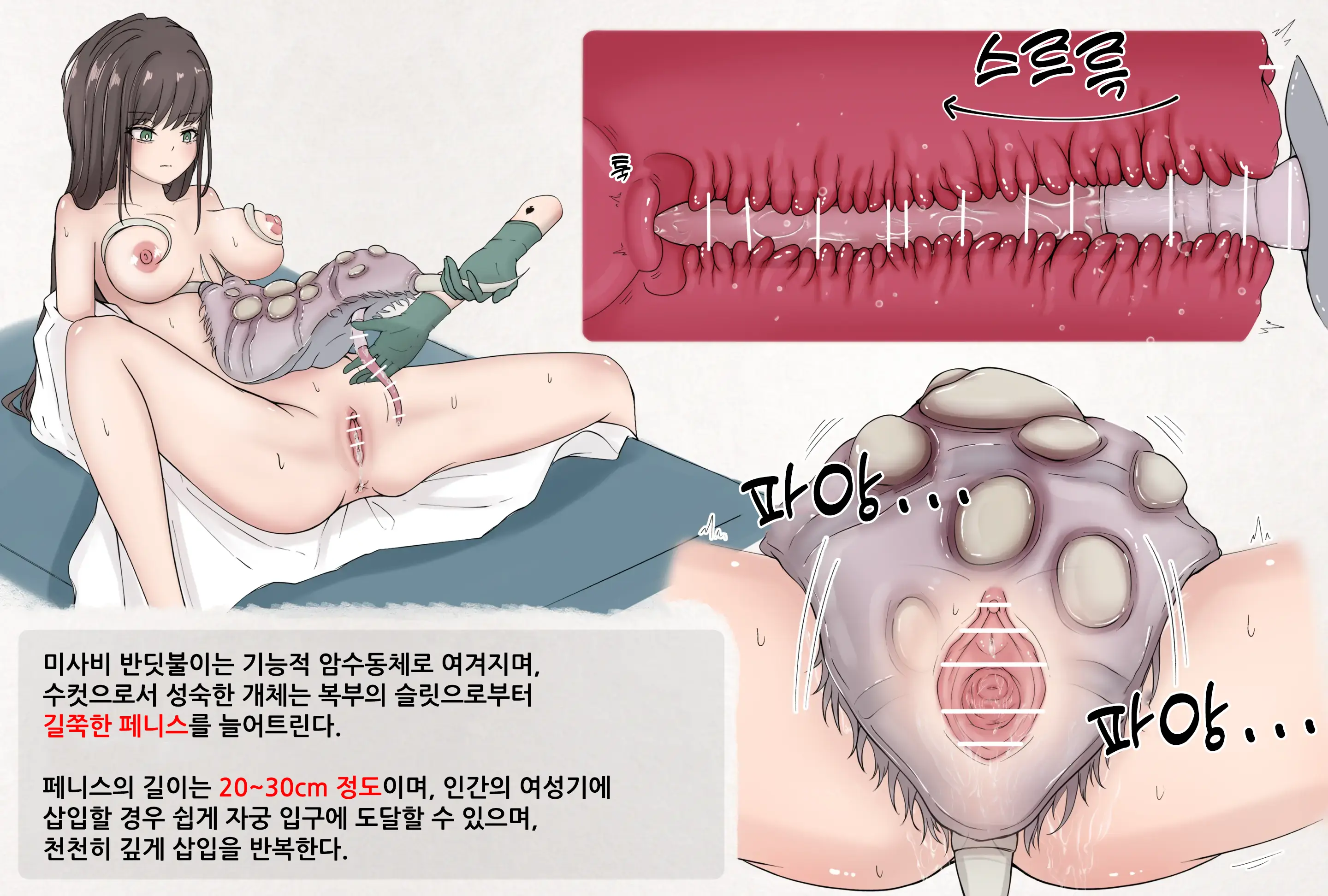웹툰 이미지 1