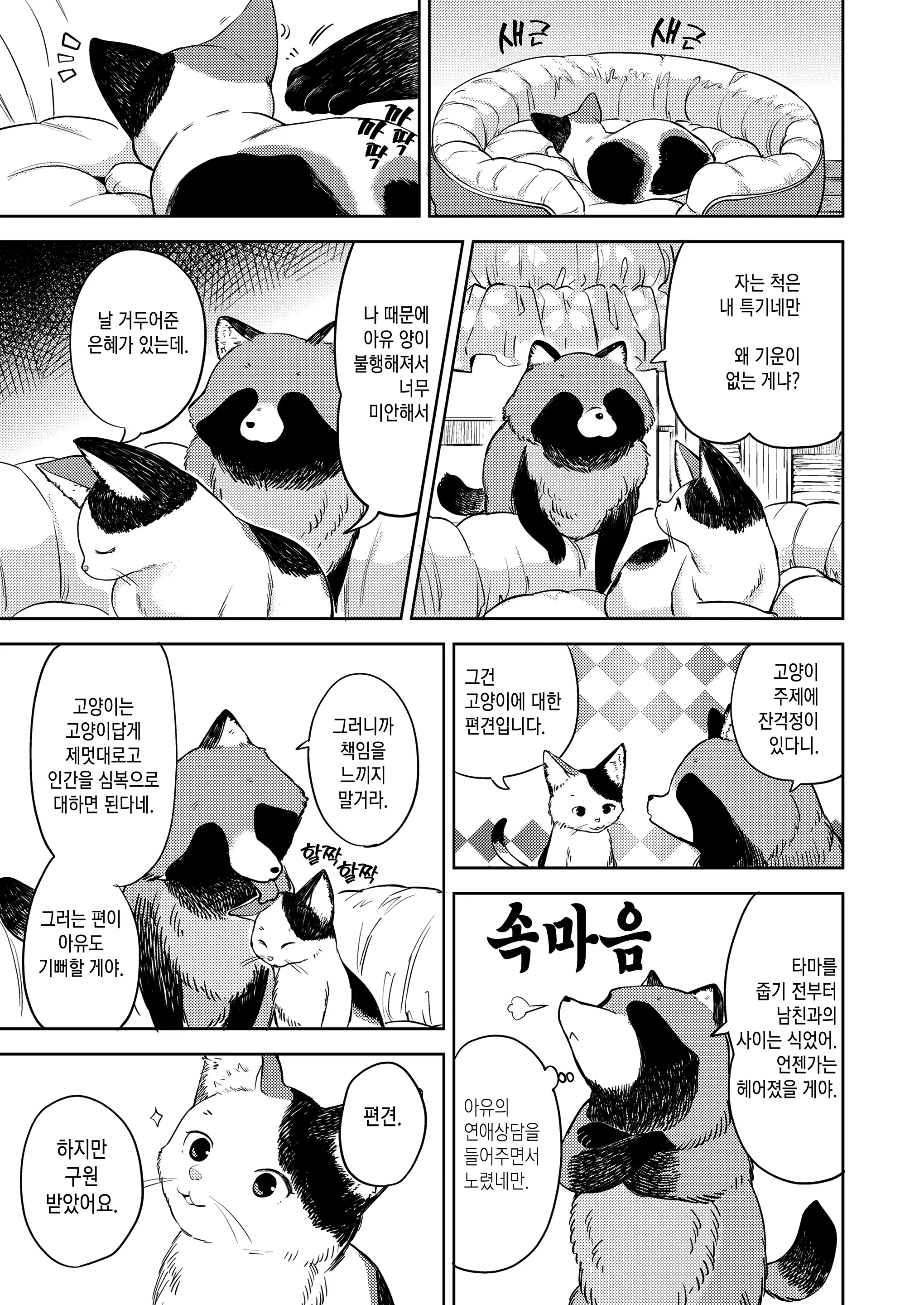 웹툰 이미지 16