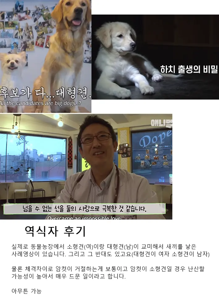 웹툰 이미지 47