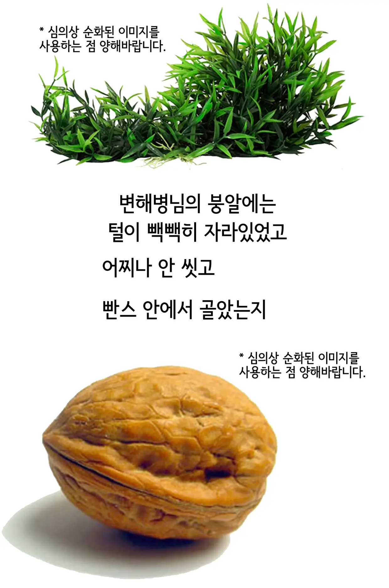 웹툰 이미지 19