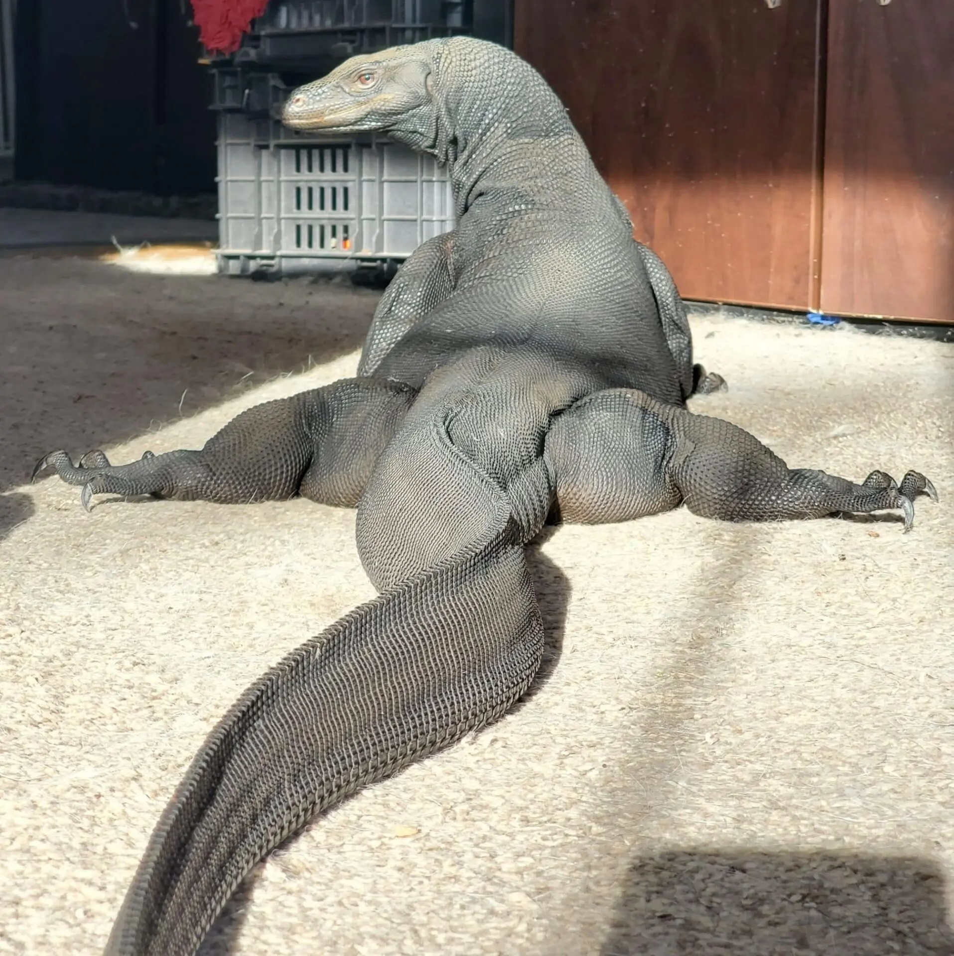 웹툰 이미지 206